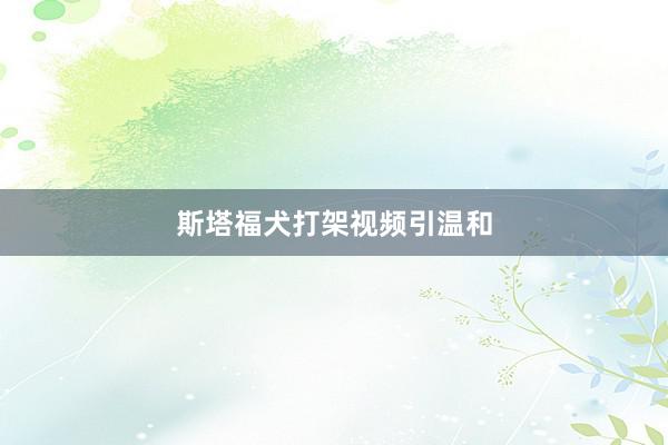 斯塔福犬打架视频引温和