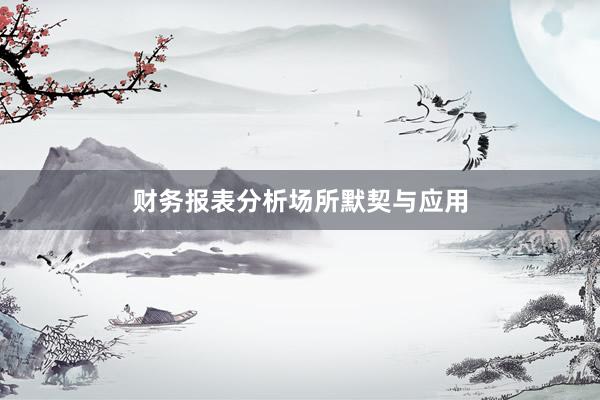 财务报表分析场所默契与应用